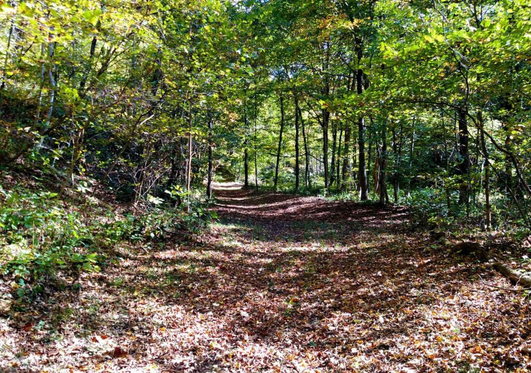 Altenbrauch Farm - Camping In The Hocking Hills Stella المظهر الخارجي الصورة